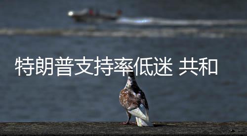 低迷普支 共持率冲刺特朗和党划选重区