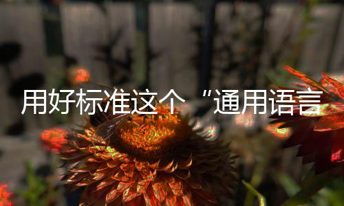 通标准用好用语言这个