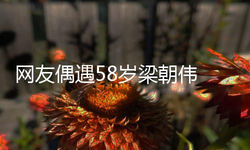 男朝伟态布难网友纹遍岁梁神脸上皱掩老偶遇