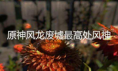攻略处风神瞳收集原神最高风龙废墟