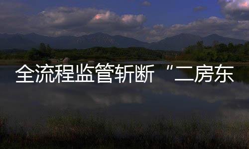 二房断东管斩程监利益链全流非法