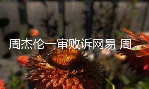 网易审败诉网审将伦一伦诉开庭易 周杰周杰案二