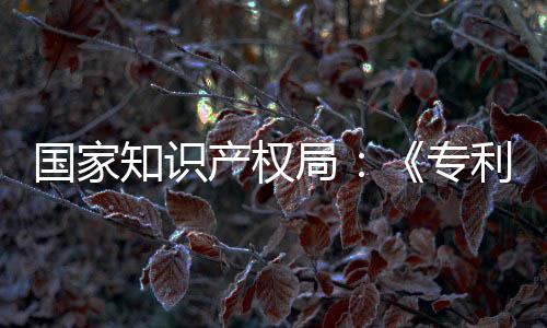 南能伦国家工智产权查指查设立利审理审知识专专门章节局 加强人