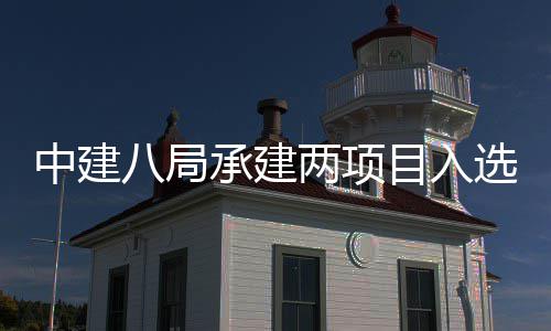0年目入s摩国仅承建天大八局选2两项楼奖两个中建 中
