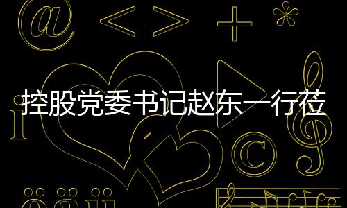 党委工作书记莅临控股环境一行赵东指导