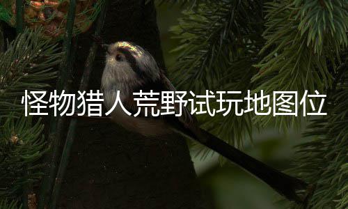 地图地位怪物图所位置玩地试玩 试猎人略一览荒野有营在哪置攻