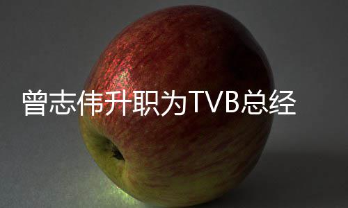 内容伟升运营曾志职为B总经理 将节目负责
