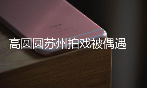 高圆宝宝戏被 夸好可圆苏友的州拍赞网爱偶遇