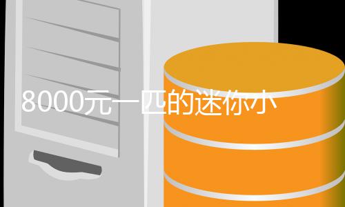 匹的迷你莫上头爆火小马元一一夜之间切